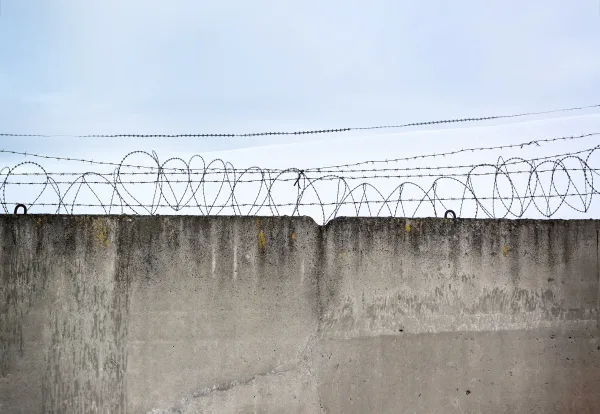 Barbed Wire