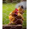 Chicken Netting Wire Mesh