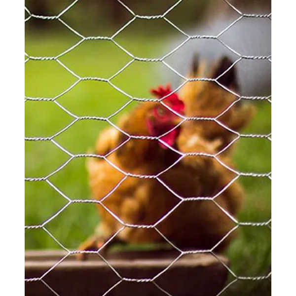 Chicken Netting Wire Mesh